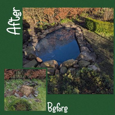 Garden clearance pond construction