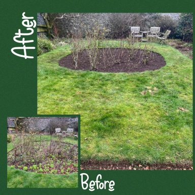 Garden clearance weeding