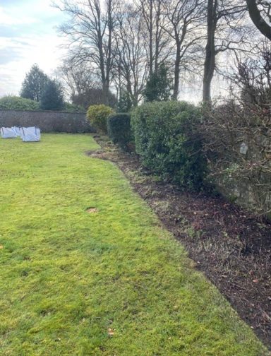 garden clearance and hedge trimming