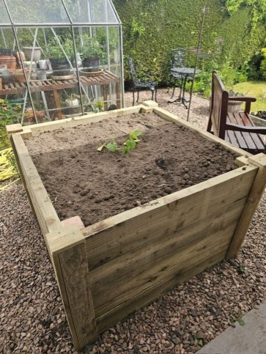 Large Timber raised bed